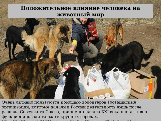 Положительное влияние человека на животный мир Очень активно пользуются помощью волонтеров зоозащитные организации, которые начали в России деятельность лишь после распада Советского Союза, причем до начала XXI века они активно функционировали только в крупных городах. Сейчас развитию зоозащитных организаций и добровольческих объединений способствуют социальные сети и интернет в целом — именно там появляются группы активистов, желающих помогать животным 