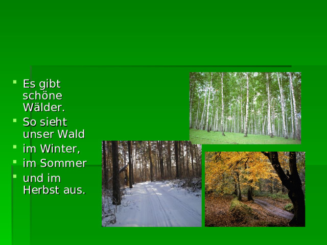 E s  gibt schöne Wälder . So sieht unser Wald im Winter, im Sommer und im Herbst aus. 