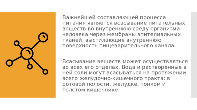 Снабжение всех тканей питательными веществами и кислородом происходит через стенки