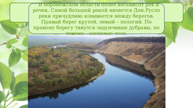  В Воронежской области более восьмисот рек и речек. Самой большой рекой является Дон.Русло реки причудливо извивается между берегов. Правый берег крутой, левый – пологий. По правому берегу тянутся задумчивые дубравы, по левому – сосновые леса. 