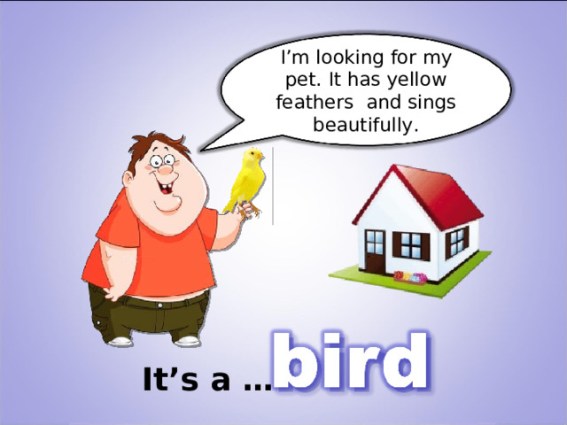 I’m looking for my pet. It has yellow feathers and sings beautifully. It’s a … 