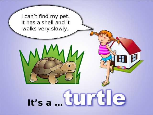 I can’t find my pet. It has a shell and it walks very slowly. It’s a … 