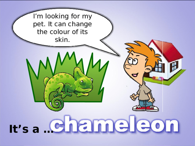 I’m looking for my pet. It can change the colour of its skin. It’s a … 