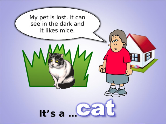 My pet is lost. It can see in the dark and it likes mice. It’s a … 