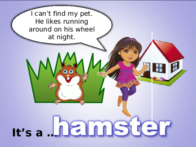 I can’t find my pet. He likes running around on his wheel at night . It’s a … 
