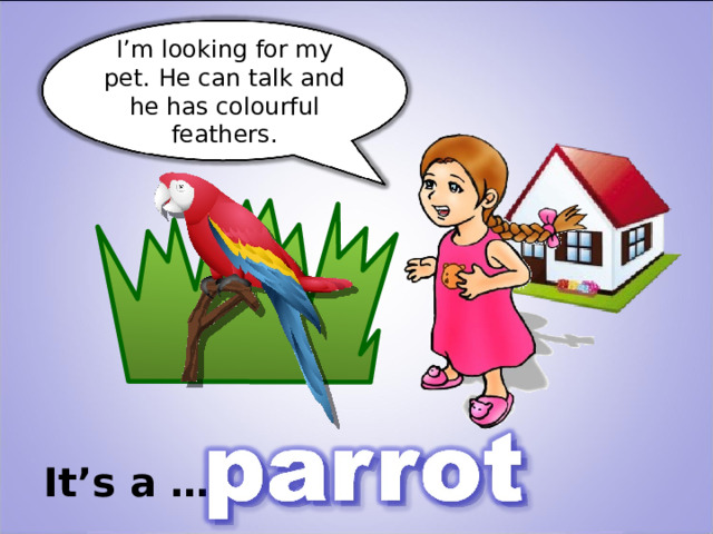 I’m looking for my pet. He can talk and he has colourful feathers . It’s a … 