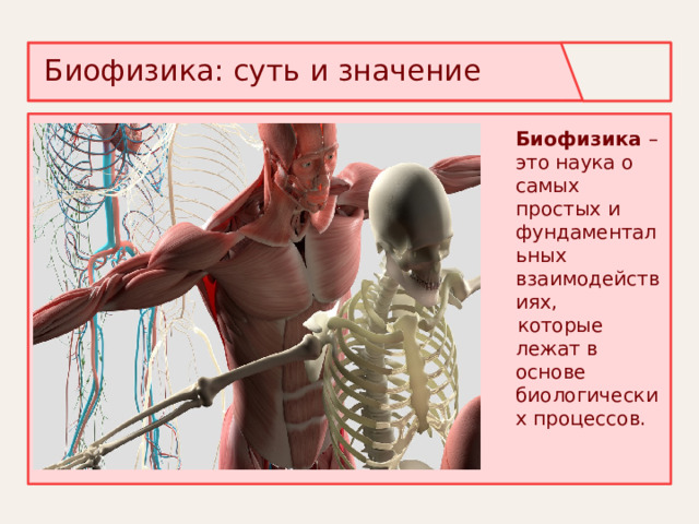 Медицинская биофизика что это. Книги по биофизике. Библиотека дво ран. Биофизика учебник для вузов. Биофизика учебник.