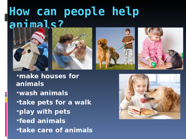 How can people help  animals? make houses for animals wash animals take pets for a walk play with pets feed animals take care of animals  