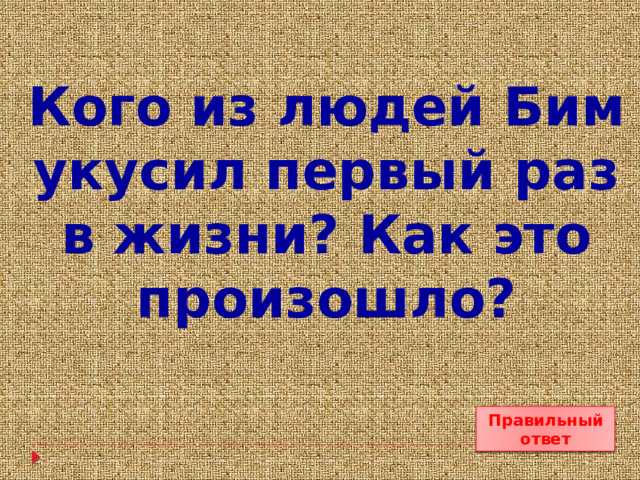 Кого из людей Бим укусил первый раз в жизни? Как это произошло? Правильный ответ 