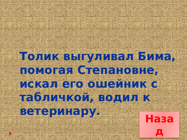 Толик выгуливал Бима, помогая Степановне, искал его ошейник с табличкой, водил к ветеринару. Назад 