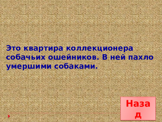 Это квартира коллекционера собачьих ошейников. В ней пахло умершими собаками. Назад 