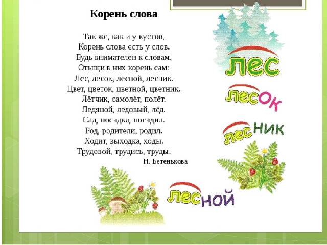 Кошка корень слова