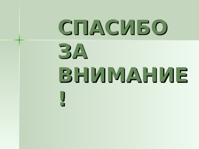 СПАСИБО  ЗА ВНИМАНИЕ! 
