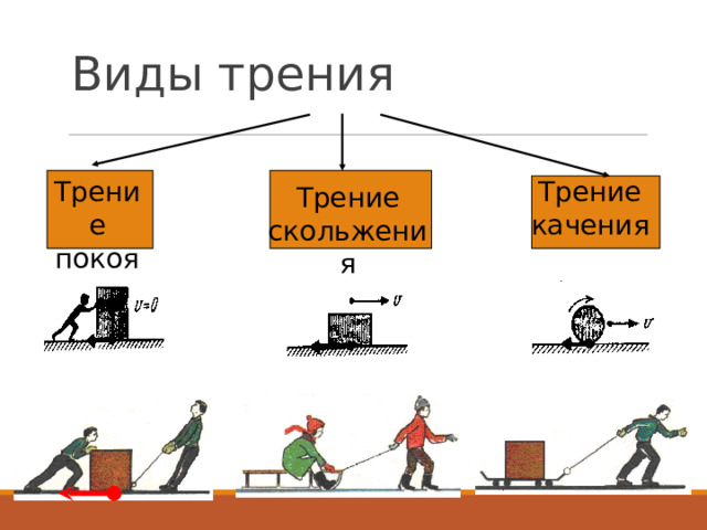 Сила трения и её виды. Трение в природе и технике.