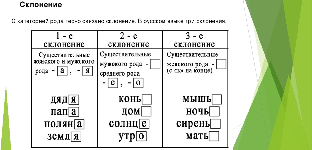 По русскому языку 5 существительных