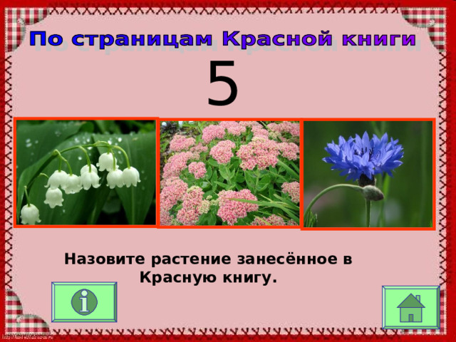 5 Назовите растение занесённое в Красную книгу. 