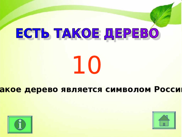 10 Какое дерево является символом России? 
