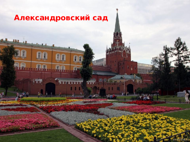 Александровский сад 