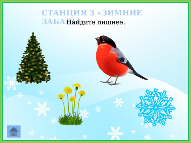 СТАНЦИЯ 3 «ЗИМНИЕ ЗАБАВЫ» Найдите лишнее. 