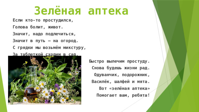 Зелёная аптека Если кто-то простудился, Голова болит, живот. Значит, надо подлечиться, Значит в путь – на огород. С грядки мы возьмём микстуру, За таблеткой сходим в сад. Быстро вылечим простуду. Снова будешь жизни рад. Одуванчик, подорожник, Василёк, шалфей и мята. Вот «зелёная аптека» Помогает вам, ребята! 