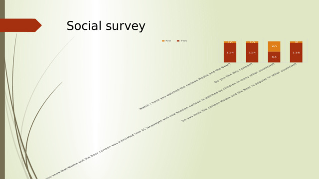 Social survey 