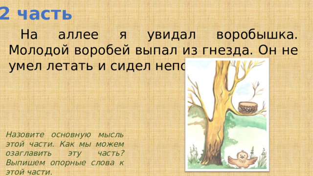2 часть  На аллее я увидал воробышка. Молодой воробей выпал из гнезда. Он не умел летать и сидел неподвижно. Назовите основную мысль этой части. Как мы можем озаглавить эту часть? Выпишем опорные слова к этой части.  