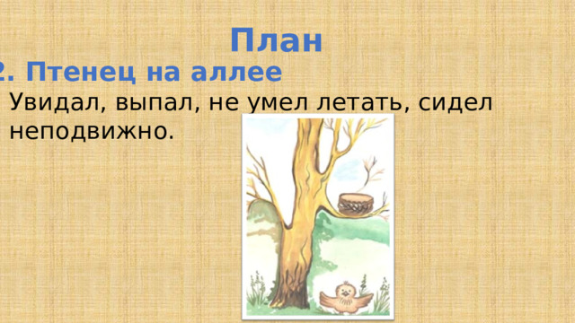 План 2. Птенец на аллее Увидал, выпал, не умел летать, сидел неподвижно.  