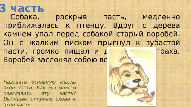 3 часть  Собака, раскрыв пасть, медленно приближалась к птенцу. Вдруг с дерева камнем упал перед собакой старый воробей. Он с жалким писком прыгнул к зубастой пасти, громко пищал и дрожал от страха. Воробей заслонял собою воробышка. Назовите основную мысль этой части. Как мы можем озаглавить эту часть? Выпишем опорные слова к этой части.  