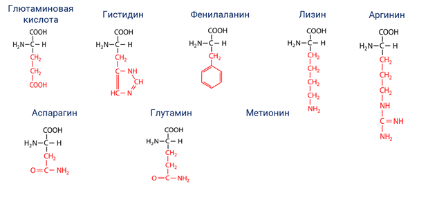 Лизин фенилаланин. Глутамин лизин Валин. Гистидин лизин формулы. Аминокислота аргинин и гистидин. Фенилаланин глутамин.