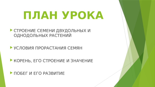 ПЛАН УРОКА СТРОЕНИЕ СЕМЕНИ ДВУДОЛЬНЫХ И ОДНОДОЛЬНЫХ РАСТЕНИЙ УСЛОВИЯ ПРОРАСТАНИЯ СЕМЯН КОРЕНЬ, ЕГО СТРОЕНИЕ И ЗНАЧЕНИЕ ПОБЕГ И ЕГО РАЗВИТИЕ 