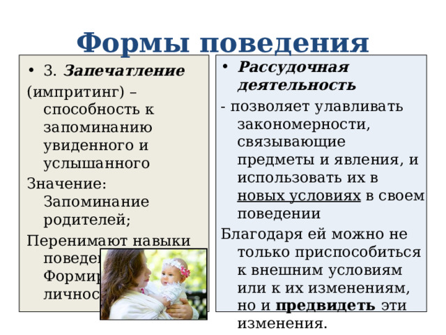 Формы поведения Рассудочная деятельность - позволяет улавливать закономерности, связывающие предметы и явления, и использовать их в новых условиях в своем поведении Благодаря ей можно не только приспособиться к внешним условиям или к их изменениям, но и предвидеть эти изменения. Это начало мышления 3. Запечатление (импритинг) – способность к запоминанию увиденного и услышанного Значение: Запоминание родителей; Перенимают навыки поведения; Формирование личности человека; 