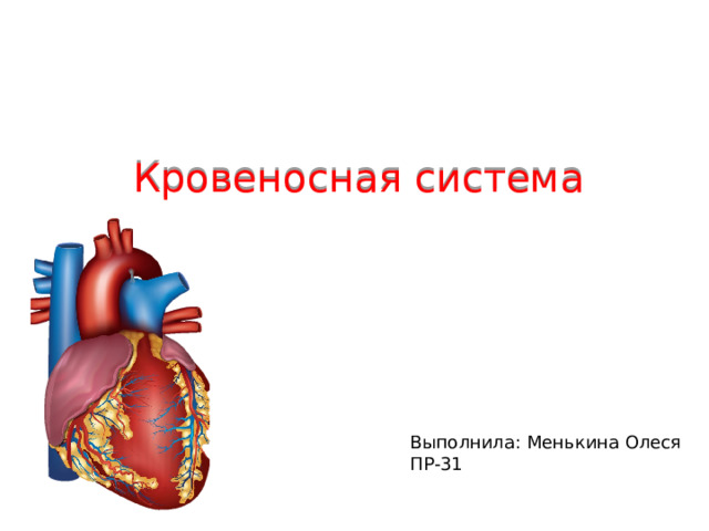Кровеносная система Выполнила: Менькина Олеся ПР-31 