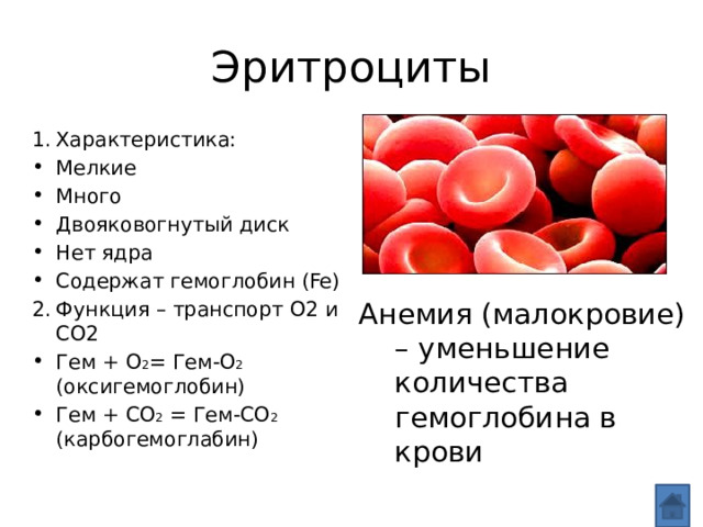 Эритроциты Характеристика: Мелкие Много Двояковогнутый диск Нет ядра Содержат гемоглобин (Fe) Функция – транспорт O2 и CO2 Гем + O 2 = Гем-O 2 (оксигемоглобин) Гем + CO 2 = Гем-CO 2 (карбогемоглабин) Анемия (малокровие) – уменьшение количества гемоглобина в крови 