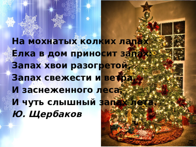 На мохнатых колких лапах Елка в дом приносит запах: Запах хвои разогретой, Запах свежести и ветра, И заснеженного леса, И чуть слышный запах лета. Ю. Щербаков 