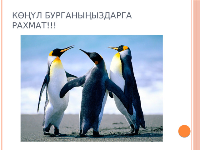 КӨҢҮЛ БУРГАНЫҢЫЗДАРГА РАХМАТ!!! 
