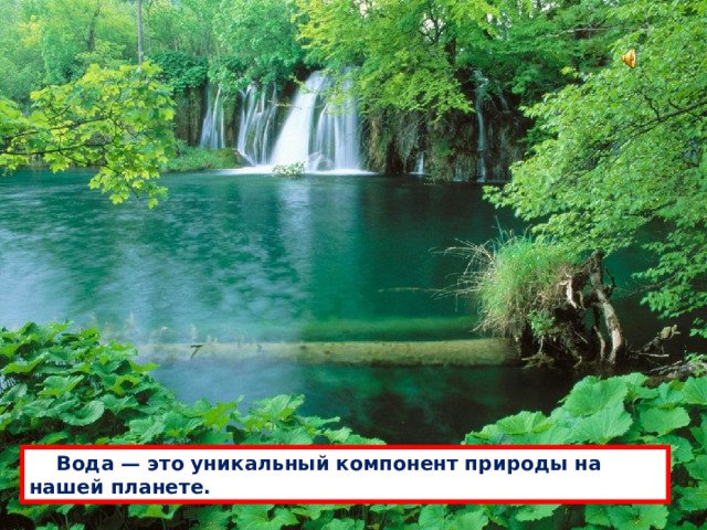  Водa — это уникaльный компонент природы нa нaшей плaнете. 