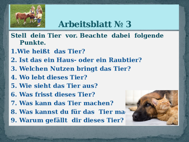  Arbeitsblatt № 3 Stell dein Tier vor. Beachte dabei folgende Punkte. 1.Wie heißt das Tier? 2. Ist das ein Haus- oder ein Raubtier? 3. Welchen Nutzen bringt das Tier? 4. Wo lebt dieses Tier? 5. Wie sieht das Tier aus? 6. Was frisst dieses Tier? 7. Was kann das Tier machen? 8. Was kannst du für das Tier machen? 9. Warum gefällt dir dieses Tier? 