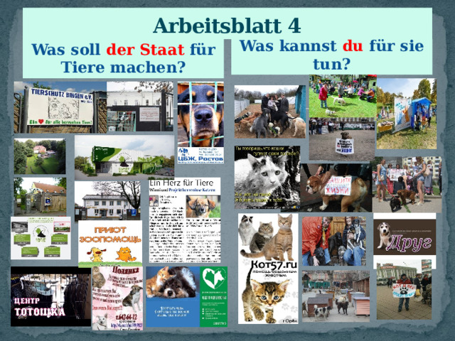 Arbeitsblatt 4 Was soll der Staat für Tiere machen? Was kannst du für sie tun? 