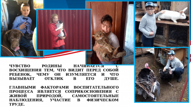 Чувство Родины начинается с восхищения тем, что видит перед собой ребенок, чему он изумляется и что вызывает отклик в его душе.    Главными факторами воспитательного процесса является соприкосновения с живой природой, самостоятельные наблюдения, участие в физическом труде.   