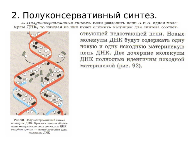 2. Полуконсервативный синтез. 