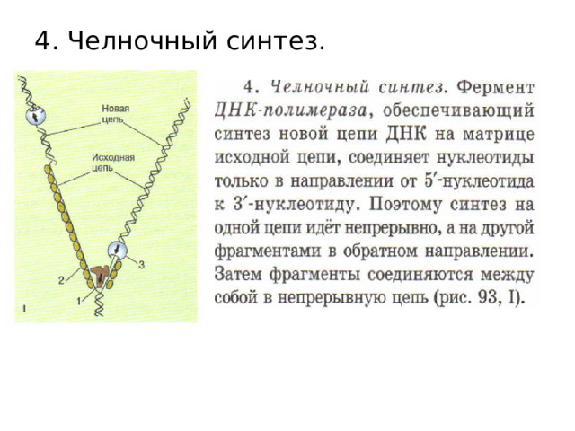 4. Челночный синтез. 