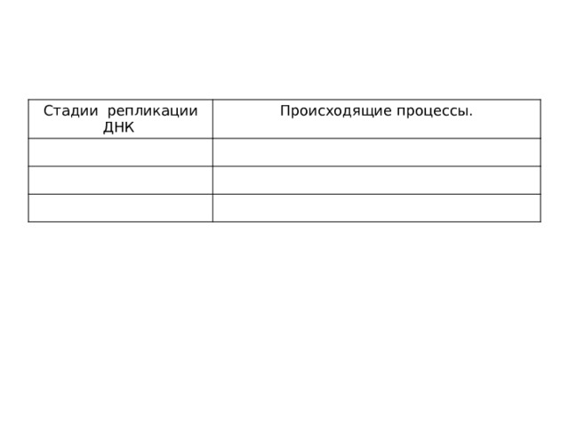 Стадии репликации ДНК Происходящие процессы. 