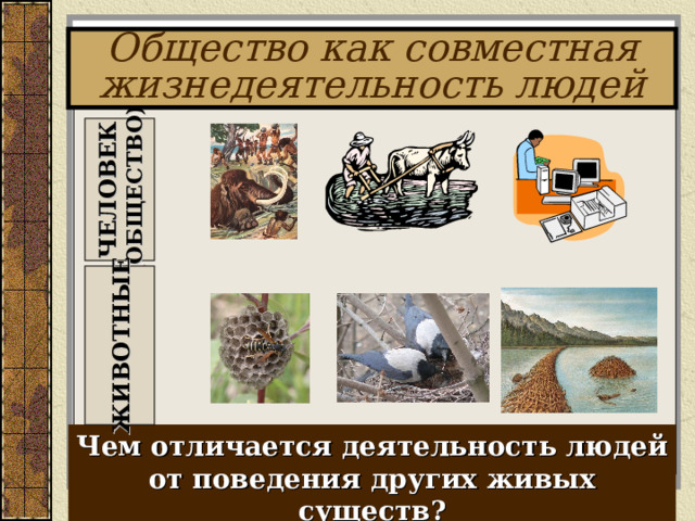 ЧЕЛОВЕК (ОБЩЕСТВО) ЖИВОТНЫЕ Общество как совместная жизнедеятельность людей Чем отличается деятельность людей от поведения других живых существ? 