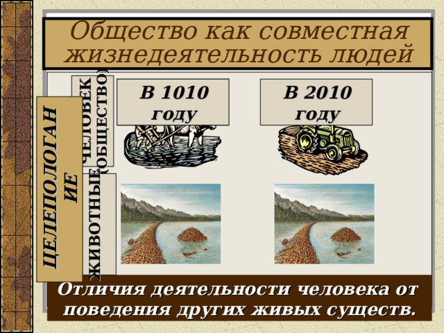 ЧЕЛОВЕК (ОБЩЕСТВО) ЖИВОТНЫЕ ЦЕЛЕПОЛОГАНИЕ Общество как совместная жизнедеятельность людей В 1010 году В 1010 году В 2010 году Отличия деятельности человека от поведения других живых существ. 