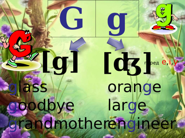 G g [ g ] [ʤ] перед  e , i , y g lass g oodbye g randmother oran g e lar g e en g ineer 