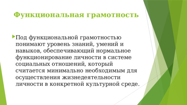 Функциональная грамотность Под функциональной грамотностью понимают уровень знаний, умений и навыков, обеспечивающий нормальное функционирование личности в системе социальных отношений, который считается минимально необходимым для осуществления жизнедеятельности личности в конкретной культурной среде. 
