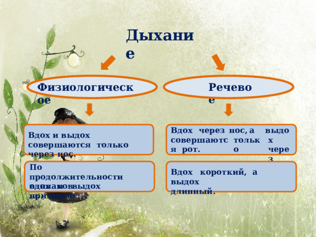 Дыхание Речев о е Физиологическое Вдох  через сове р ш а ю тся рот. в ы д ох ч е р е з нос,  а т о ль к о Вдох и выдох совершаются только через  нос. По  продолжительности в д ох  и  в ы д ох  п р и м е рно Вдох  короткий,  а  выдох длинный. о д и н а к ов ы . 