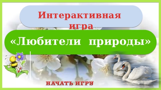 Интерактивная игра  «Любители природы»  