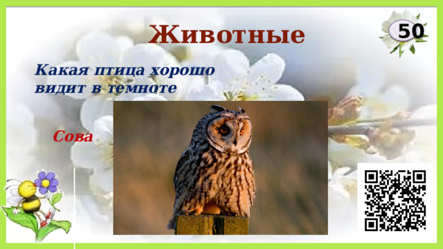 Животные 50 Какая птица хорошо видит в темноте Сова 