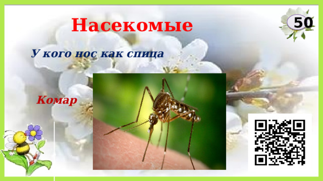 Насекомые 50 У кого нос как спица Комар 